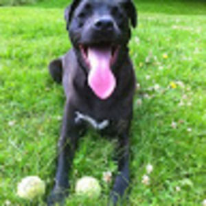 Meet your Posher, Lynsey